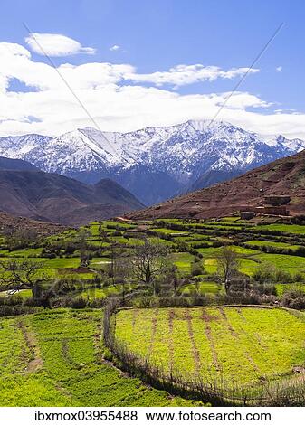 "View of the Atlas Mountains, Ourika Valley, Atlas Mountains, Marrakech-Tensift-Al Haouz, Morocco, Africa" View Large Photo Image Stock Photo - "View of the Atlas Mountains, Ourika Valley, Atlas Mountains, Marrakech-Tensift-Al Haouz, Morocco, Africa". Fotosearch
