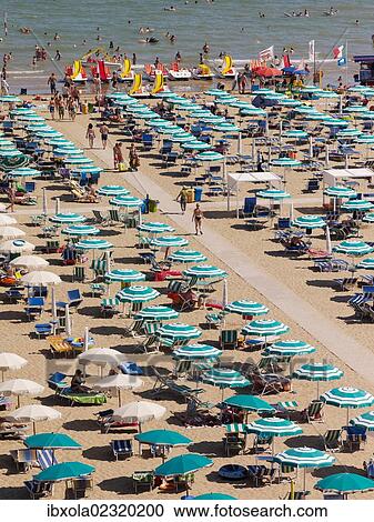 "View of the beach with parasols and sun loungers, Lignano Sabbiadoro, Udine, Adriatic Coast, Italy, Europe" View Large Photo Image Stock Image - "View of the beach with parasols and sun loungers, Lignano Sabbiadoro, Udine, Adriatic Coast, Italy, Europe". Fotosearch