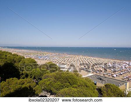 "View of the beach with parasols and sun loungers, Lignano Sabbiadoro, Udine, Adriatic Coast, Italy, Europe" View Large Photo Image Stock Photo - "View of the beach with parasols and sun loungers, Lignano Sabbiadoro, Udine, Adriatic Coast, Italy, Europe". Fotosearch