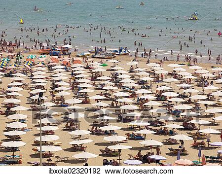 "View of the beach with parasols, sun loungers and bathers, Lignano Sabbiadoro, Udine, Adriatic Coast, Italy, Europe" View Large Photo Image Stock Image - "View of the beach with parasols, sun loungers and bathers, Lignano Sabbiadoro, Udine, Adriatic Coast, Italy, Europe". Fotosearch