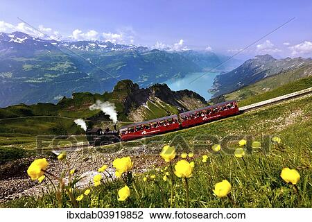 Stock Image - "View of the Brienz-Rothorn railway, Lake Brienz and the Bernese Alps, Rothorn mountain, Brienz, Canton of Bern, Switzerland, Europe". Fotosearch