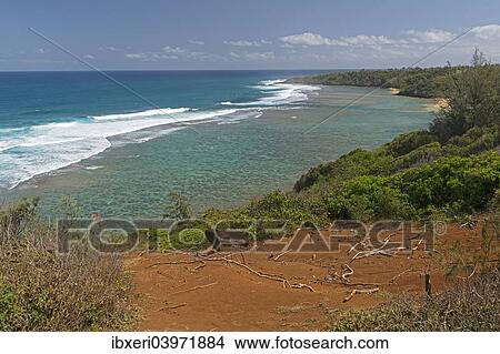 Picture - "View of the coast from the Pila'a Lookout, on the Kilauea volcano, Kaua'i, Hawaii, United States, North America". Fotosearch