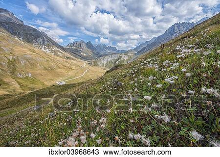 "View of the Col du Galibier mountain pass, Savoie, France, Europe" View Large Photo Image Stock Image - "View of the Col du Galibier mountain pass, Savoie, France, Europe". Fotosearch