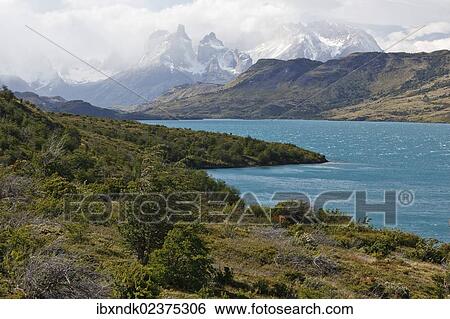 "View of the granite mountain Cuernos del Paine in the Torres del Paine National Park on the shore of the glacial lake Lago del Toro, Del Toro Lake, Magallanes Region, Patagonia, Chile, South America, Latin America, America, South America" View Large Photo Image Stock Photograph - "View of the granite mountain Cuernos del Paine in the Torres del Paine National Park on the shore of the glacial lake Lago del Toro, Del Toro Lake, Magallanes Region, Patagonia, Chile, South America, Latin America, America, South America". Fotosearch