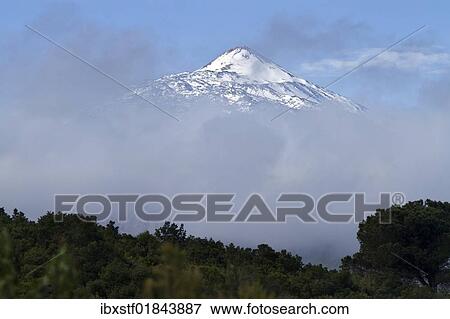 "View of the Pico del Teide mountain above the clouds, Tenerife, Canary Islands, Spain, Europe" View Large Photo Image Stock Photo - "View of the Pico del Teide mountain above the clouds, Tenerife, Canary Islands, Spain, Europe". Fotosearch