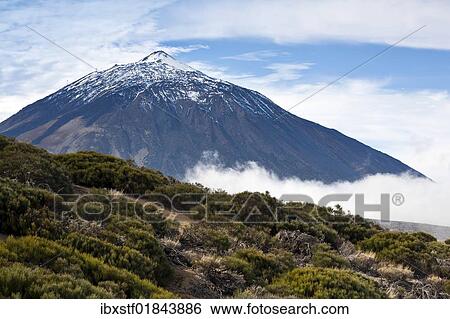 "View of the Pico del Teide mountain, Tenerife, Canary Islands, Spain, Europe" View Large Photo Image Stock Photograph - "View of the Pico del Teide mountain, Tenerife, Canary Islands, Spain, Europe". Fotosearch