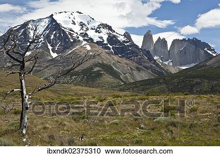 "View of the steep peaks of the Torres del Paine granite mountains, Torres del Paine National Park, Magallanes Region, Patagonia, Chile, South America, Latin America, America, South America" View Large Photo Image Stock Image - "View of the steep peaks of the Torres del Paine granite mountains, Torres del Paine National Park, Magallanes Region, Patagonia, Chile, South America, Latin America, America, South America". Fotosearch