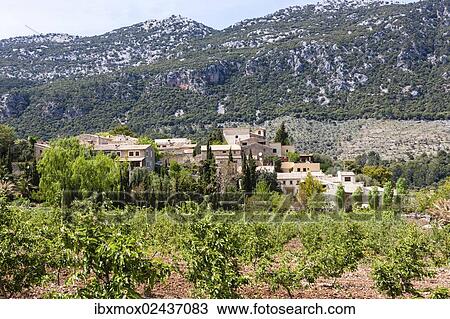 "View of the village of Orient, municipality of Alaro, Mallorca, Majorca, Balearic Islands, Spain, Europe" View Large Photo Image Stock Image - "View of the village of Orient, municipality of Alaro, Mallorca, Majorca, Balearic Islands, Spain, Europe". Fotosearch
