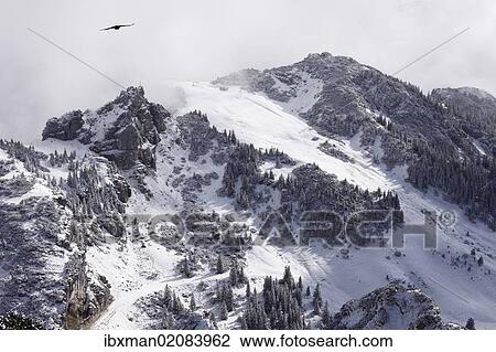 "View of Wildalpjoch saddle from Mt Wendelstein, Mangfall mountains, Upper Bavaria, Bavaria, Germany, Europe, PublicGround, Europe" View Large Photo Image Stock Image - "View of Wildalpjoch saddle from Mt Wendelstein, Mangfall mountains, Upper Bavaria, Bavaria, Germany, Europe, PublicGround, Europe". Fotosearch