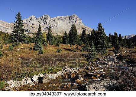 "View on a hike from Lake Louise to Skoki Lodge in the Rocky Mountains, Banff National Park, Alberta, Canada, North America" View Large Photo Image Stock Photo - "View on a hike from Lake Louise to Skoki Lodge in the Rocky Mountains, Banff National Park, Alberta, Canada, North America". Fotosearch