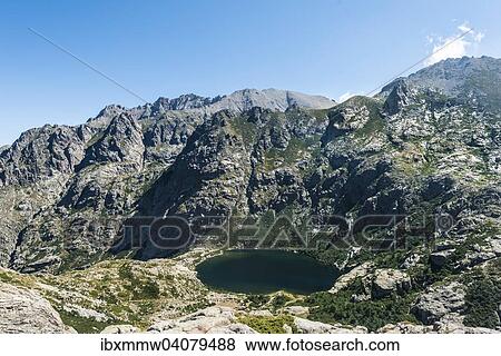 "View on Lake Capitello with surroundings, Restonica mountain valley, Corte, Haute-Corse, Corsica, France, Europe" View Large Photo Image Stock Photo - "View on Lake Capitello with surroundings, Restonica mountain valley, Corte, Haute-Corse, Corsica, France, Europe". Fotosearch