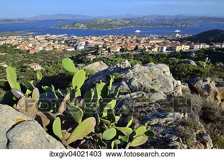 "View over La Maddalena and on Sardinia, Isola Maddalena, Arcipelago di La Maddalena National Park, Sardinia, Italy, Europe" View Large Photo Image Stock Image - "View over La Maddalena and on Sardinia, Isola Maddalena, Arcipelago di La Maddalena National Park, Sardinia, Italy, Europe". Fotosearch