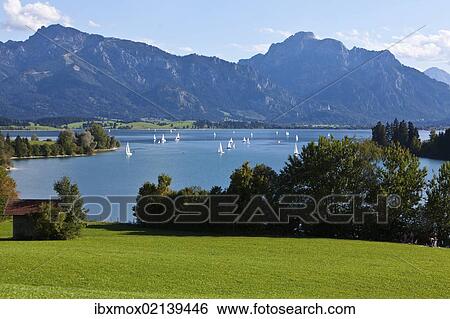 Stock Photograph - "View over Lake Forggensee, Upper Bavaria, Bavaria, Germany, Europe, PublicGround, Europe". Fotosearch