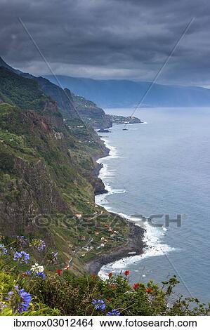 "View over the cliffs near Arco de Sao Jorge, Terras de Forca, Sao Jorge, Madeira, Portugal, Europe" View Large Photo Image Picture - "View over the cliffs near Arco de Sao Jorge, Terras de Forca, Sao Jorge, Madeira, Portugal, Europe". Fotosearch