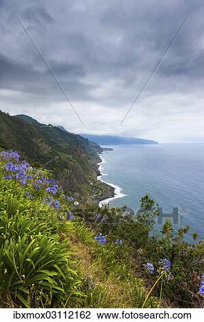 Stock Image - "View over the cliffs near Arco de Sao Jorge, Terras de Forca, Sao Jorge, Madeira, Portugal, Europe". Fotosearch