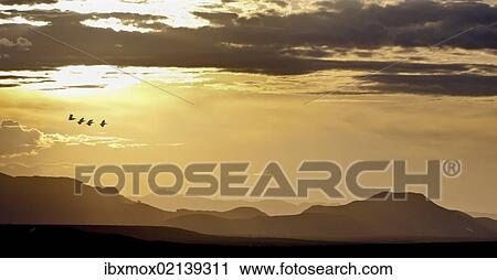 Stock Image - "View Samburu National Reserve at dusk, Kenya, East Africa, Africa, PublicGround, Africa". Fotosearch