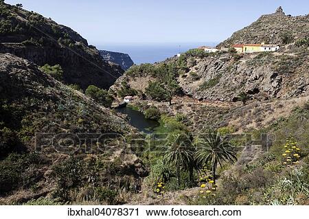 "View to the sea from Arure, La Gomera, Canary Islands, Spain, Europe" View Large Photo Image Stock Image - "View to the sea from Arure, La Gomera, Canary Islands, Spain, Europe". Fotosearch