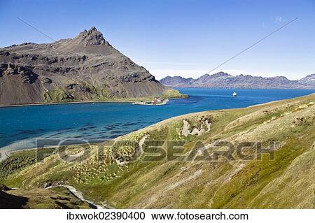 Stock Image - "View towards King Edward Point, Grytviken, King Edward Cove, Cumberland East Bay, South Georgia, South Sandwich Islands, British Overseas Territory, South Atlantic Ocean, Antarctica". Fotosearch