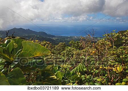 "View towards Saint-Claude from La Soufriere volcano, Saint-Claude, Arrondissement of Basse-Terre, Guadeloupe, France, North America" View Large Photo Image Stock Photo - "View towards Saint-Claude from La Soufriere volcano, Saint-Claude, Arrondissement of Basse-Terre, Guadeloupe, France, North America". Fotosearch