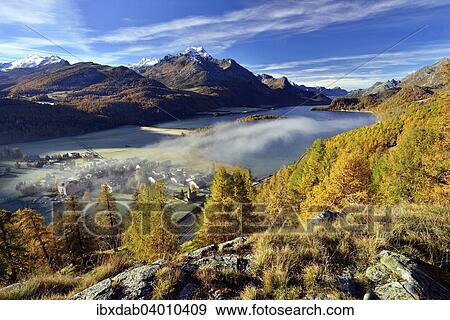 "Views of Lake Sils and Piz da la Margna in autumnal Upper Engadine, fog above the valley, Sils-Baselgia, Engadin, Grisons, Switzerland, Europe" View Large Photo Image Stock Photo - "Views of Lake Sils and Piz da la Margna in autumnal Upper Engadine, fog above the valley, Sils-Baselgia, Engadin, Grisons, Switzerland, Europe". Fotosearch
