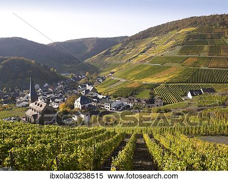 "Village of Mayschoss surrounded by vineyards in autumn, Mayschoss, Ahrtal, Eifel, Rhineland-Palatinate, Germany, Europe" View Large Photo Image Stock Photography - "Village of Mayschoss surrounded by vineyards in autumn, Mayschoss, Ahrtal, Eifel, Rhineland-Palatinate, Germany, Europe". Fotosearch