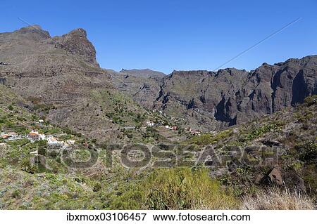 "Village of Teno, Las Lagunetas, Tenerife, Canary Islands, Spain, Europe" View Large Photo Image Stock Photo - "Village of Teno, Las Lagunetas, Tenerife, Canary Islands, Spain, Europe". Fotosearch