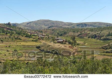 "Village of the Merina people with terraced rice paddies, near Antananarivo, Madagascar, Africa" View Large Photo Image Stock Image - "Village of the Merina people with terraced rice paddies, near Antananarivo, Madagascar, Africa". Fotosearch