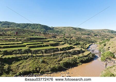 "Villages of the Merina people with terraced rice paddies above a river, near Antananarivo, Madagascar, Africa" View Large Photo Image Stock Photograph - "Villages of the Merina people with terraced rice paddies above a river, near Antananarivo, Madagascar, Africa". Fotosearch