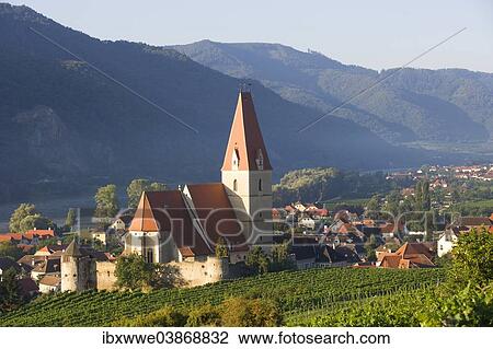 "Vineyards and a fortified church on the Danube, Weissenkirchen in der Wachau, Wachau, Lower Austria, Austria, Europe" View Large Photo Image Stock Image - "Vineyards and a fortified church on the Danube, Weissenkirchen in der Wachau, Wachau, Lower Austria, Austria, Europe". Fotosearch