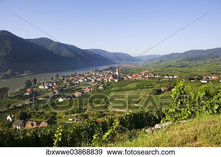 "Vineyards and a fortified church on the Danube, Weissenkirchen in der Wachau, Wachau, Lower Austria, Austria, Europe" View Large Photo Image Stock Photo - "Vineyards and a fortified church on the Danube, Weissenkirchen in der Wachau, Wachau, Lower Austria, Austria, Europe". Fotosearch
