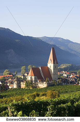 "Vineyards and a fortified church on the Danube, Weissenkirchen in der Wachau, Wachau, Lower Austria, Austria, Europe" View Large Photo Image Stock Photography - "Vineyards and a fortified church on the Danube, Weissenkirchen in der Wachau, Wachau, Lower Austria, Austria, Europe". Fotosearch