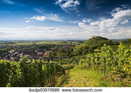 "Vineyards and Staufen castle, behind the Rhine Valley, Staufen im Breisgau, Markgraflerland, Black Forest, Baden-Wurttemberg, Germany, Europe" View Large Photo Image Stock Photo - "Vineyards and Staufen castle, behind the Rhine Valley, Staufen im Breisgau, Markgraflerland, Black Forest, Baden-Wurttemberg, Germany, Europe". Fotosearch