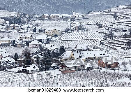 "Vineyards covered with snow, Spitz, Wachau, Waldviertel, Forest Quarter, Lower Austria, Austria, Europe" View Large Photo Image Stock Image - "Vineyards covered with snow, Spitz, Wachau, Waldviertel, Forest Quarter, Lower Austria, Austria, Europe". Fotosearch