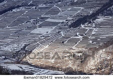"Vineyards in winter, Spitzer Graben, Wachau, Waldviertel, Forest Quarter, Lower Austria, Austria, Europe" View Large Photo Image Stock Image - "Vineyards in winter, Spitzer Graben, Wachau, Waldviertel, Forest Quarter, Lower Austria, Austria, Europe". Fotosearch