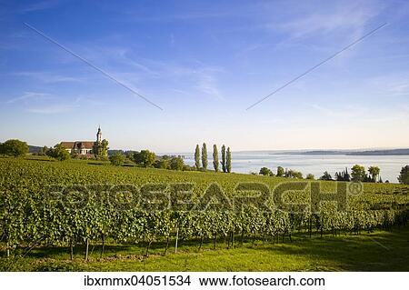 "Vineyards on Lake Constance, Birnau pilgrimage church, Birnau, Baden-Wurttemberg, Germany, Europe" View Large Photo Image Picture - "Vineyards on Lake Constance, Birnau pilgrimage church, Birnau, Baden-Wurttemberg, Germany, Europe". Fotosearch