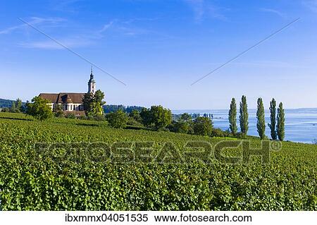 "Vineyards on Lake Constance, Birnau pilgrimage church, Birnau, Baden-Wurttemberg, Germany, Europe" View Large Photo Image Stock Photography - "Vineyards on Lake Constance, Birnau pilgrimage church, Birnau, Baden-Wurttemberg, Germany, Europe". Fotosearch