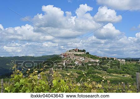"Vineyards, townscape, Motovun, Istria, Croatia, Europe" View Large Photo Image Stock Image - "Vineyards, townscape, Motovun, Istria, Croatia, Europe". Fotosearch