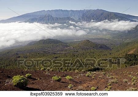 "Volcanic crater in the Caldera de Taburiente National Park, La Palma, Canary Islands, Spain, Europe" View Large Photo Image Stock Photo - "Volcanic crater in the Caldera de Taburiente National Park, La Palma, Canary Islands, Spain, Europe". Fotosearch