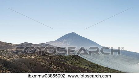 "Volcanic landscape and a pine forest with Pico del Teide, 3718m, and small craters, Parque Nacional de las Canadas del Teide, Teide National Park, UNESCO World Heritage Site, Tenerife, Canary Islands, Spain, Europe" View Large Photo Image Stock Image - "Volcanic landscape and a pine forest with Pico del Teide, 3718m, and small craters, Parque Nacional de las Canadas del Teide, Teide National Park, UNESCO World Heritage Site, Tenerife, Canary Islands, Spain, Europe". Fotosearch