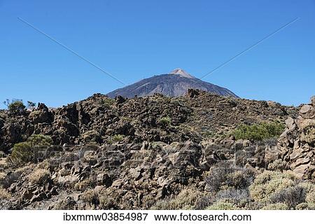 "Volcanic landscape, Llano de Uruanca plateau with Pico del Teide, 3718m, Parque Nacional de las Canadas del Teide, Teide National Park, UNESCO World Heritage Site, Tenerife, Canary Islands, Spain, Europe" View Large Photo Image Stock Photo - "Volcanic landscape, Llano de Uruanca plateau with Pico del Teide, 3718m, Parque Nacional de las Canadas del Teide, Teide National Park, UNESCO World Heritage Site, Tenerife, Canary Islands, Spain, Europe". Fotosearch