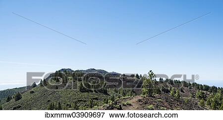 "Volcanic landscape on the """"Ruta de los Volcanes"""", Cumbre Vieja Natural Park, La Palma, Canary Islands, Spain, Europe" View Large Photo Image Stock Photo - "Volcanic landscape on the """"Ruta de los Volcanes"""", Cumbre Vieja Natural Park, La Palma, Canary Islands, Spain, Europe". Fotosearch