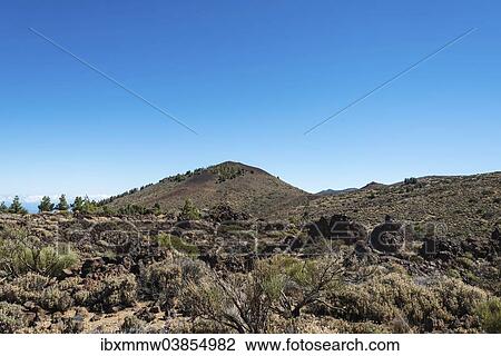"Volcanic landscape, plateau covered with shrubs, Llano de Uruanca surrounding Pico del Teide, Parque Nacional de las Canadas del Teide, Teide National Park, UNESCO World Heritage Site, Tenerife, Canary Islands, Spain, Europe" View Large Photo Image Stock Image - "Volcanic landscape, plateau covered with shrubs, Llano de Uruanca surrounding Pico del Teide, Parque Nacional de las Canadas del Teide, Teide National Park, UNESCO World Heritage Site, Tenerife, Canary Islands, Spain, Europe". Fotosearch
