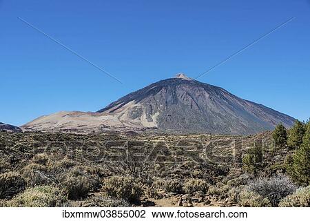 "Volcanic landscape, plateau covered with shrubs, Llano de Uruanca with Pico del Teide, 3718m, Parque Nacional de las Canadas del Teide, Teide National Park, UNESCO World Heritage Site, Tenerife, Canary Islands, Spain, Europe" View Large Photo Image Stock Image - "Volcanic landscape, plateau covered with shrubs, Llano de Uruanca with Pico del Teide, 3718m, Parque Nacional de las Canadas del Teide, Teide National Park, UNESCO World Heritage Site, Tenerife, Canary Islands, Spain, Europe". Fotosearch