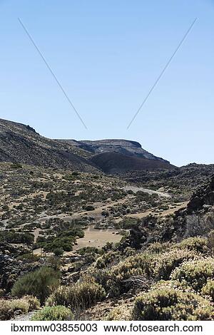 "Volcanic landscape, plateau covered with shrubs, Llano de Uruanca surrounding Pico del Teide, Parque Nacional de las Canadas del Teide, Teide National Park, UNESCO World Heritage Site, Tenerife, Canary Islands, Spain, Europe" View Large Photo Image Stock Image - "Volcanic landscape, plateau covered with shrubs, Llano de Uruanca surrounding Pico del Teide, Parque Nacional de las Canadas del Teide, Teide National Park, UNESCO World Heritage Site, Tenerife, Canary Islands, Spain, Europe". Fotosearch