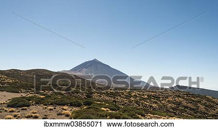 "Volcanic landscape, plateau covered with shrubs, Llano de Uruanca with Pico del Teide, 3718m, Parque Nacional de las Canadas del Teide, Teide National Park, UNESCO World Heritage Site, Tenerife, Canary Islands, Spain, Europe" View Large Photo Image Stock Image - "Volcanic landscape, plateau covered with shrubs, Llano de Uruanca with Pico del Teide, 3718m, Parque Nacional de las Canadas del Teide, Teide National Park, UNESCO World Heritage Site, Tenerife, Canary Islands, Spain, Europe". Fotosearch