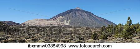 "Volcanic landscape, plateau covered with shrubs, Llano de Uruanca with Pico del Teide, 3718m, Parque Nacional de las Canadas del Teide, Teide National Park, UNESCO World Heritage Site, Tenerife, Canary Islands, Spain, Europe" View Large Photo Image Stock Photo - "Volcanic landscape, plateau covered with shrubs, Llano de Uruanca with Pico del Teide, 3718m, Parque Nacional de las Canadas del Teide, Teide National Park, UNESCO World Heritage Site, Tenerife, Canary Islands, Spain, Europe". Fotosearch