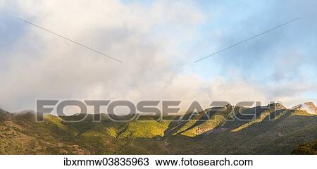"Volcanic landscape, Tenerife, Canary Islands, Spain, Europe" View Large Photo Image Stock Image - "Volcanic landscape, Tenerife, Canary Islands, Spain, Europe". Fotosearch