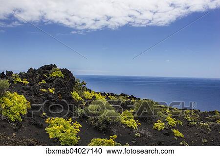 "Volcano landschaft, lava landscape, south cape of Punta de Fuencaliente, Monumento Natural de Los Volcanes de Teneguia Park, Fuencaliente, La Palma, Canary Islands, Spain, Europe" View Large Photo Image Stock Image - "Volcano landschaft, lava landscape, south cape of Punta de Fuencaliente, Monumento Natural de Los Volcanes de Teneguia Park, Fuencaliente, La Palma, Canary Islands, Spain, Europe". Fotosearch
