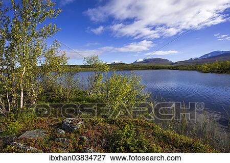 "Vuolio Njahkajavri Lake, Lapporten trough valley, glacial trough, at the back, Abisko National Park, Norrbotten County, Sweden, Europe" View Large Photo Image Stock Photo - "Vuolio Njahkajavri Lake, Lapporten trough valley, glacial trough, at the back, Abisko National Park, Norrbotten County, Sweden, Europe". Fotosearch