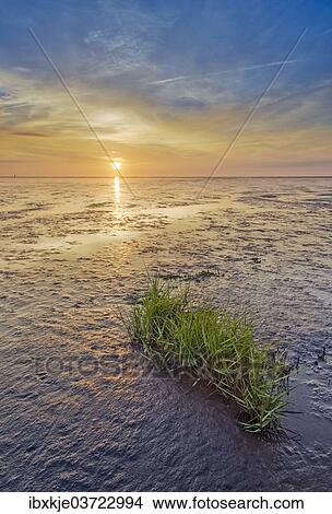 "Wadden Sea, North Sea, Wremer Tief, Wremen, Lower Saxony, Germany, Europe" View Large Photo Image Picture - "Wadden Sea, North Sea, Wremer Tief, Wremen, Lower Saxony, Germany, Europe". Fotosearch